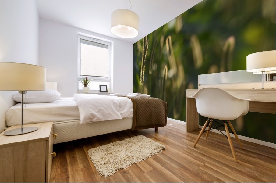 Glowing field grass Mural print