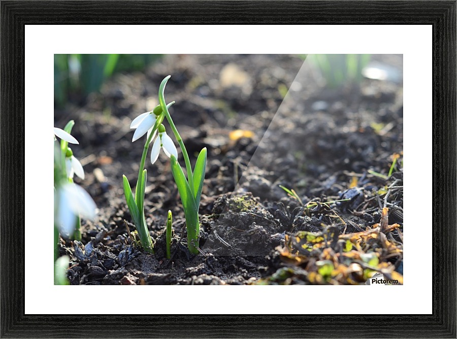 Happy parents Picture Frame print