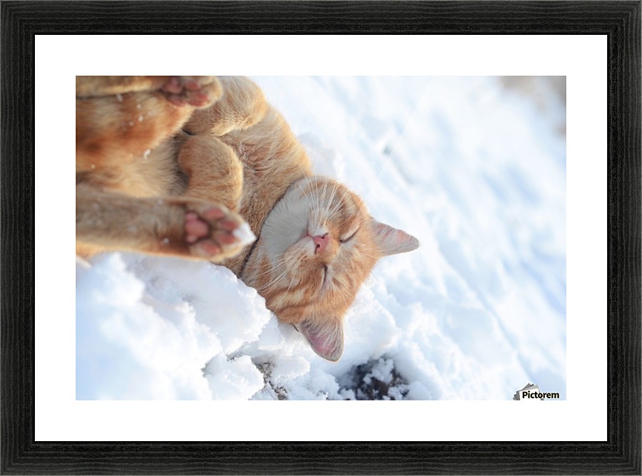Rolling Picture Frame print