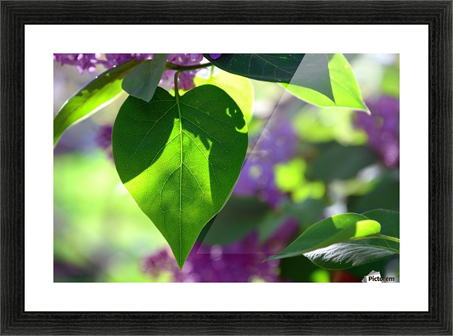 Heart bits Picture Frame print