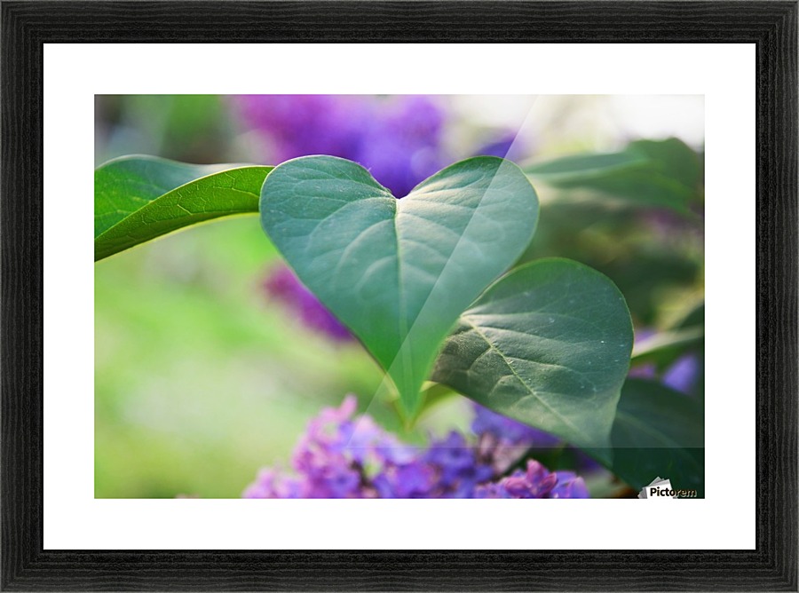 Lilac hearts Picture Frame print