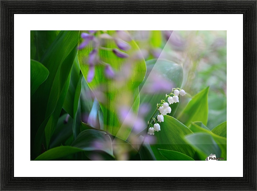 Spring dream Picture Frame print