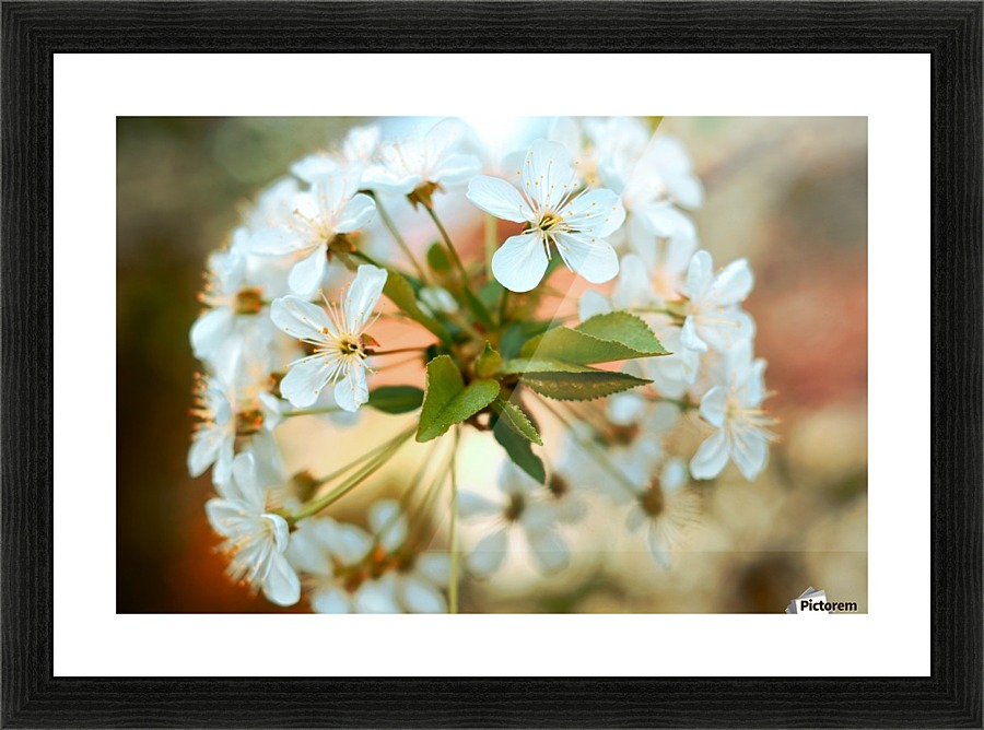 Spring hour Picture Frame print