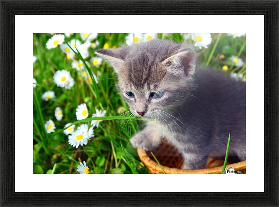 Smell the grass Picture Frame print