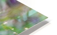 Spring dream HD Metal print