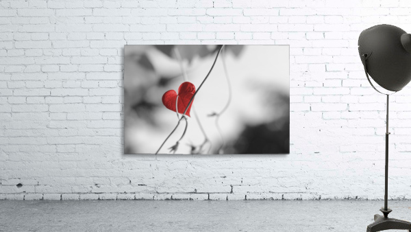 Red heart shaped leaf Wall Preview