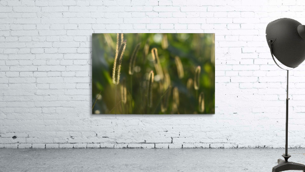 Glowing field grass Wall Preview