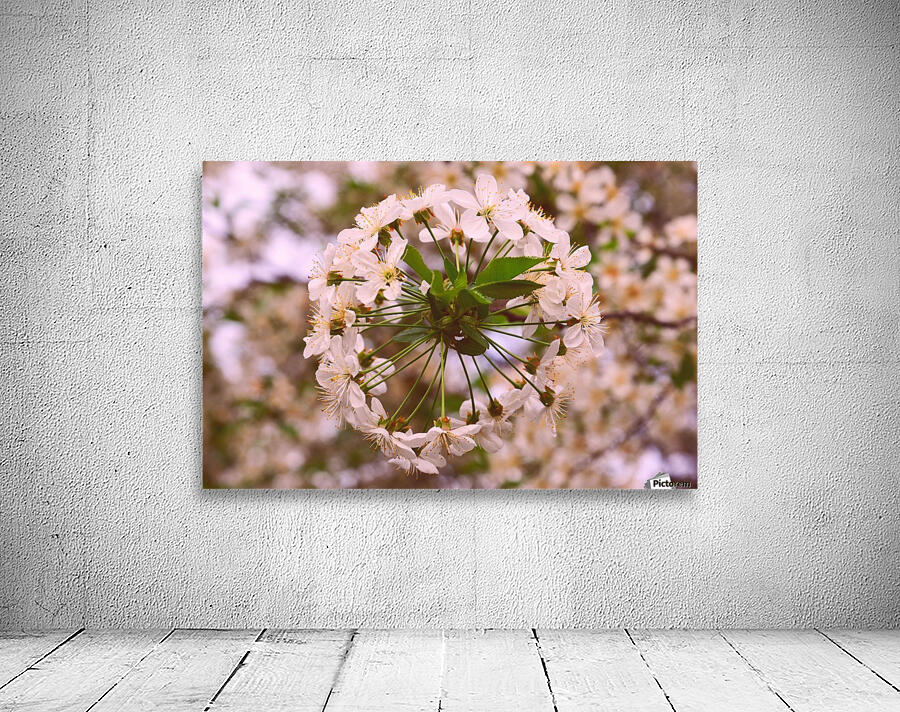 Spring clock Wall Preview