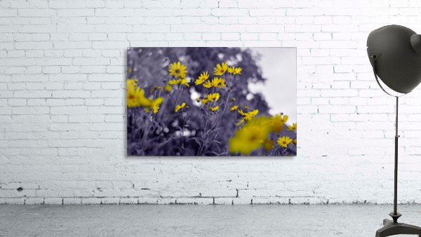 Still yellow Wall Preview