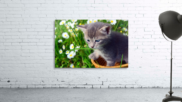 Smell the grass Wall Preview