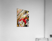 Endeavour 2 Acrylic Print