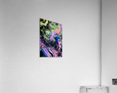 Serendipity 1 Acrylic Print