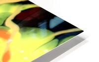 Passion 9 HD Metal print