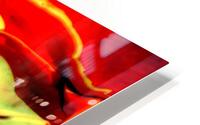 Passion 8 HD Metal print