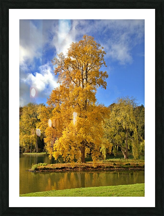  Fine Art print