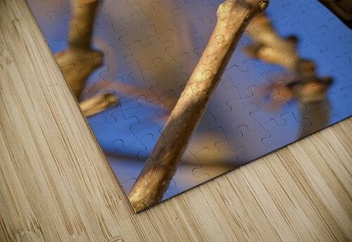 Goldfinch  Antony Robinson puzzle