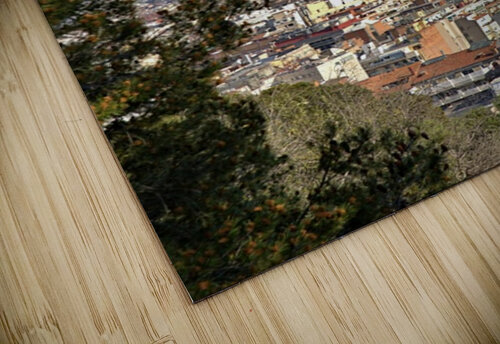 Barcelona Antony Robinson puzzle