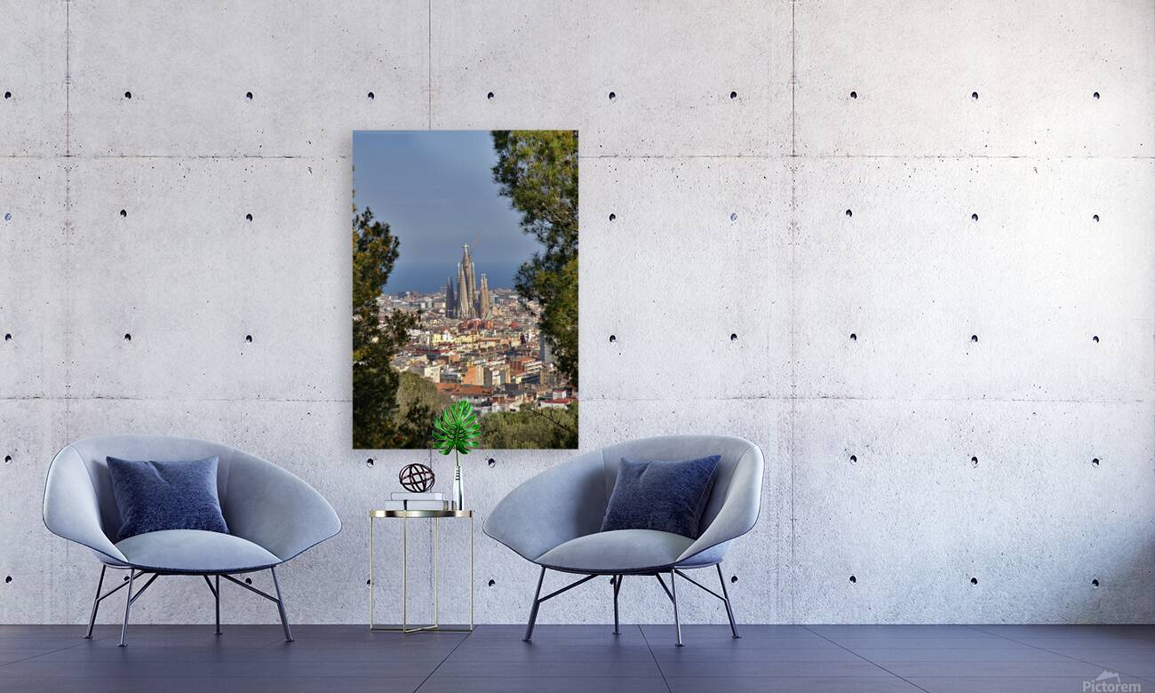 Barcelona Reproduction