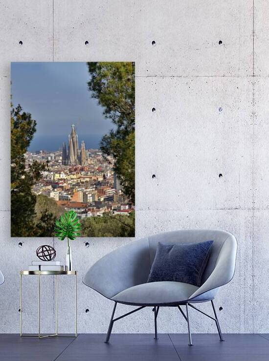 Barcelona Reproduction