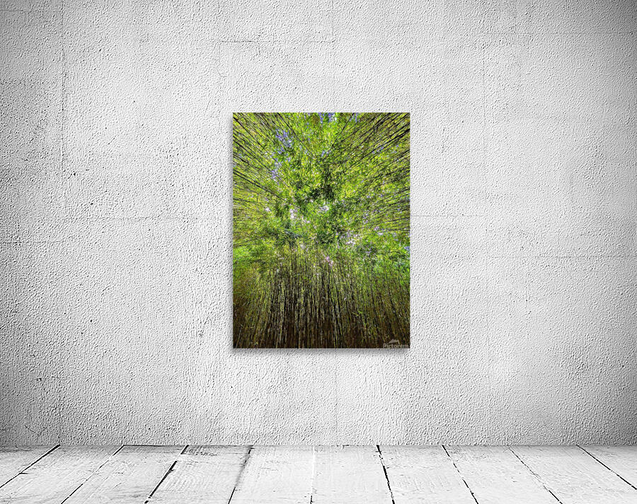 Bamboo forest Wall Preview