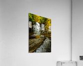 Cascades dorees Acrylic Print