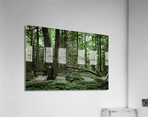 Cycle de vie Acrylic Print