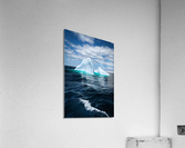 Iceberg Acrylic Print