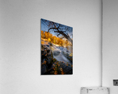 Pepites d or Acrylic Print