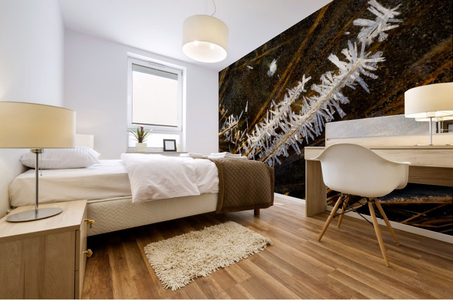 Sucre d orge Mural print