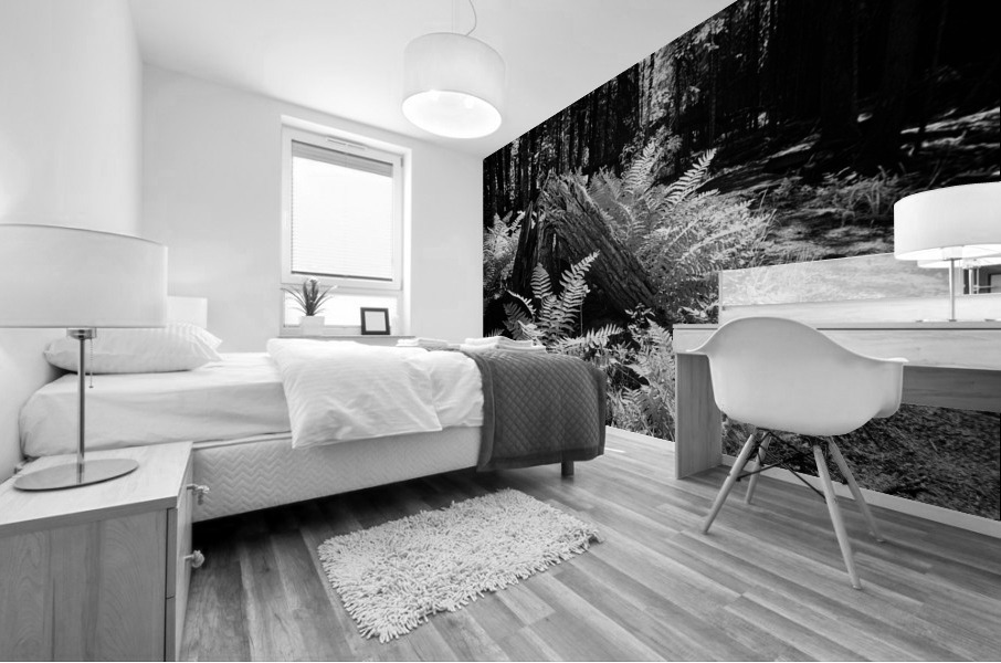 Crac Mural print