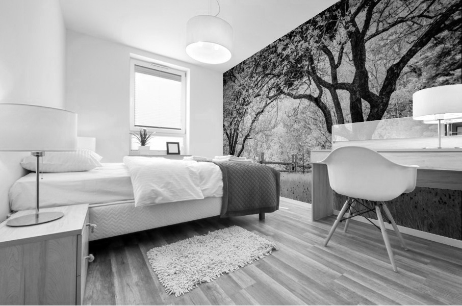 Vieille branche Mural print
