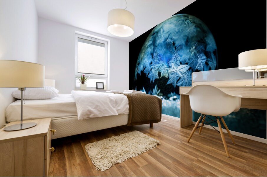 Cest l hiver Mural print