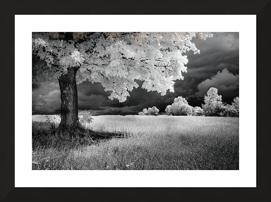 Beaute rurale Picture Frame print