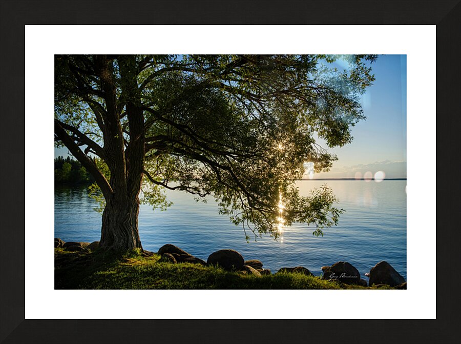 Scintillement Picture Frame print