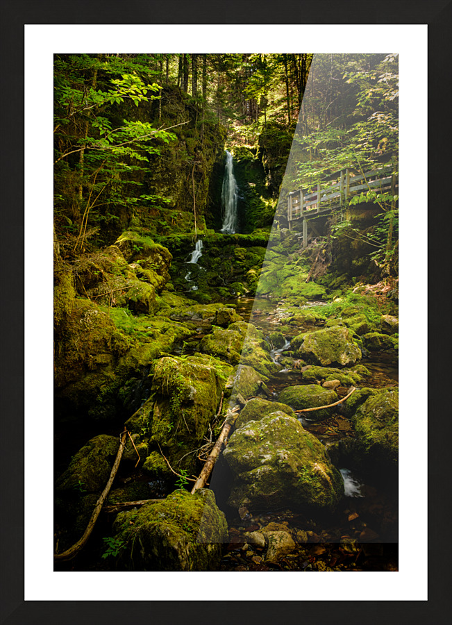 Chutes Dickson Picture Frame print