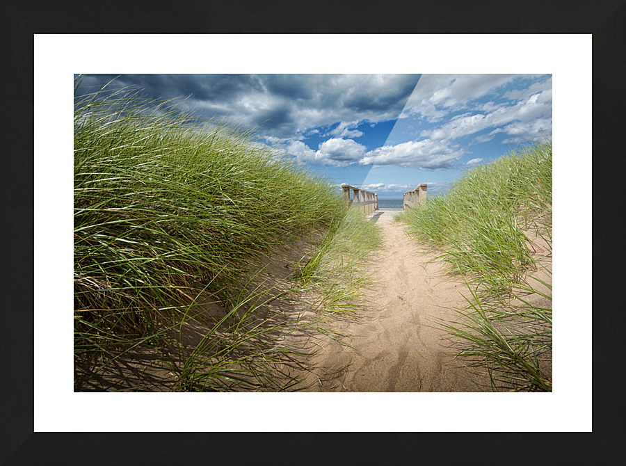Evasion Picture Frame print