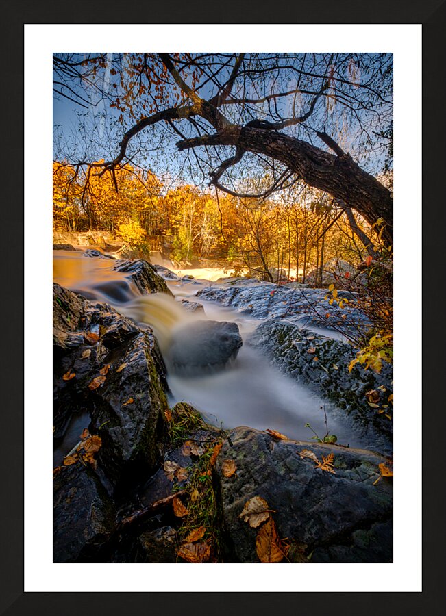 Pepites d or Picture Frame print
