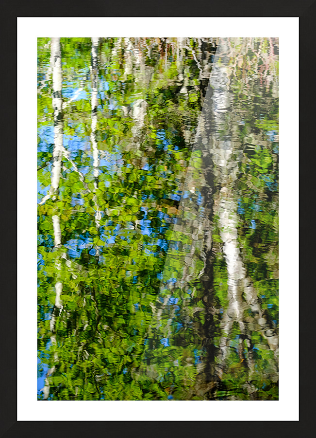 Reflexions Picture Frame print