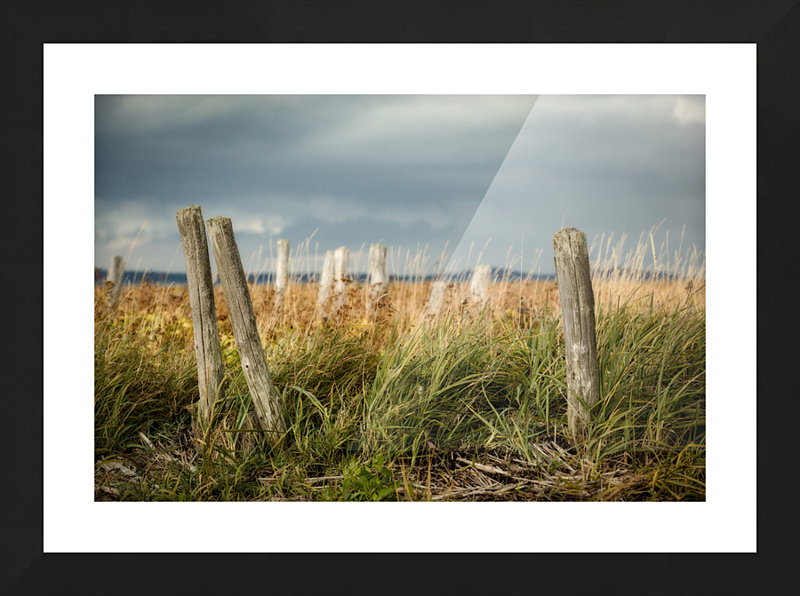 Spectres Picture Frame print