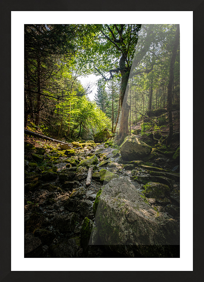 Ruisseau cache Picture Frame print