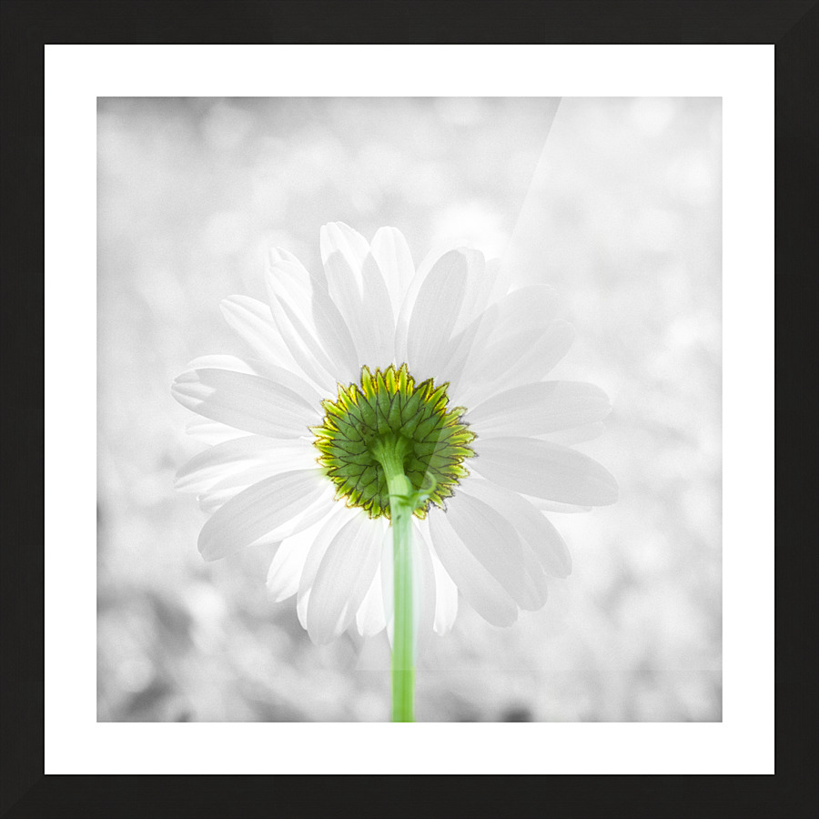 Ete Picture Frame print