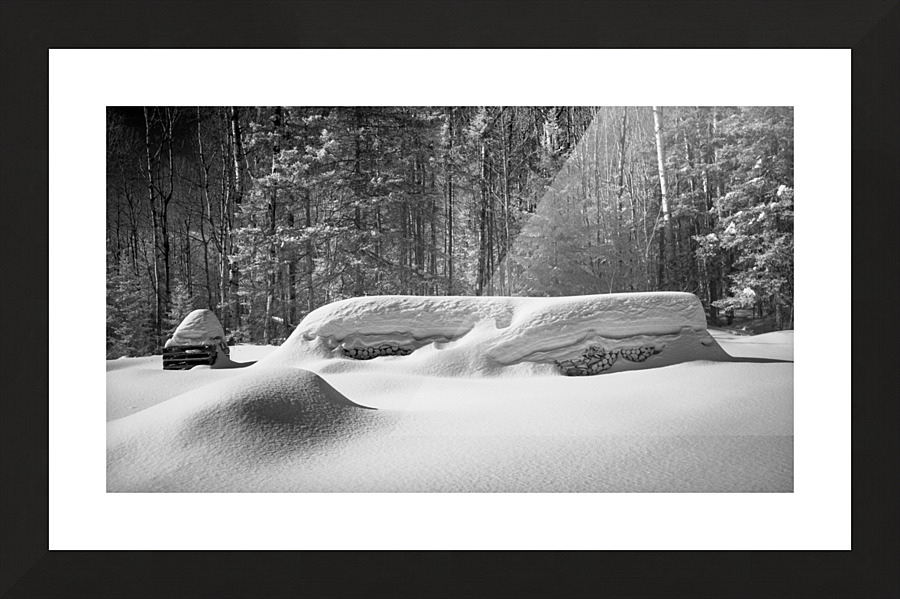 Bois dormant Picture Frame print