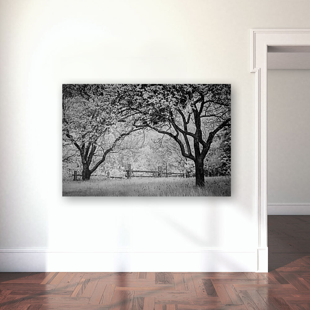 Vieille branche Reproduction