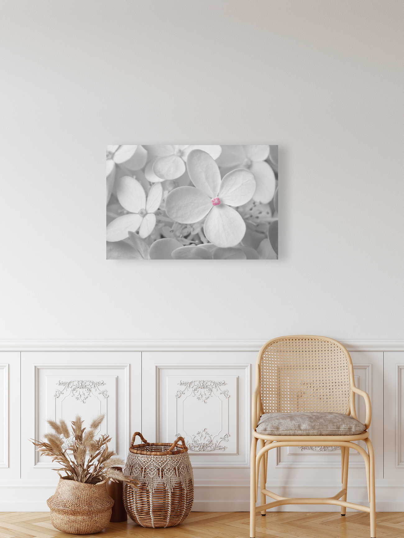 Hortensia Reproduction