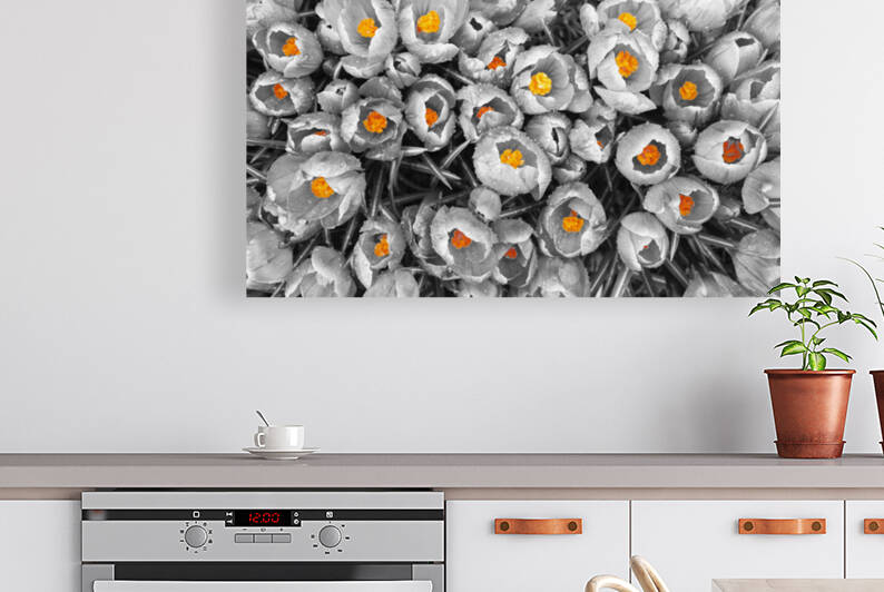Printemps by Guy Boudreau