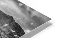 Bonzai HD Metal print