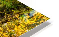 Cascades dorees HD Metal print