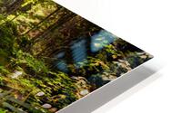 Chutes Dickson HD Metal print