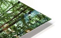 Cycle de vie HD Metal print