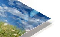 Evasion HD Metal print